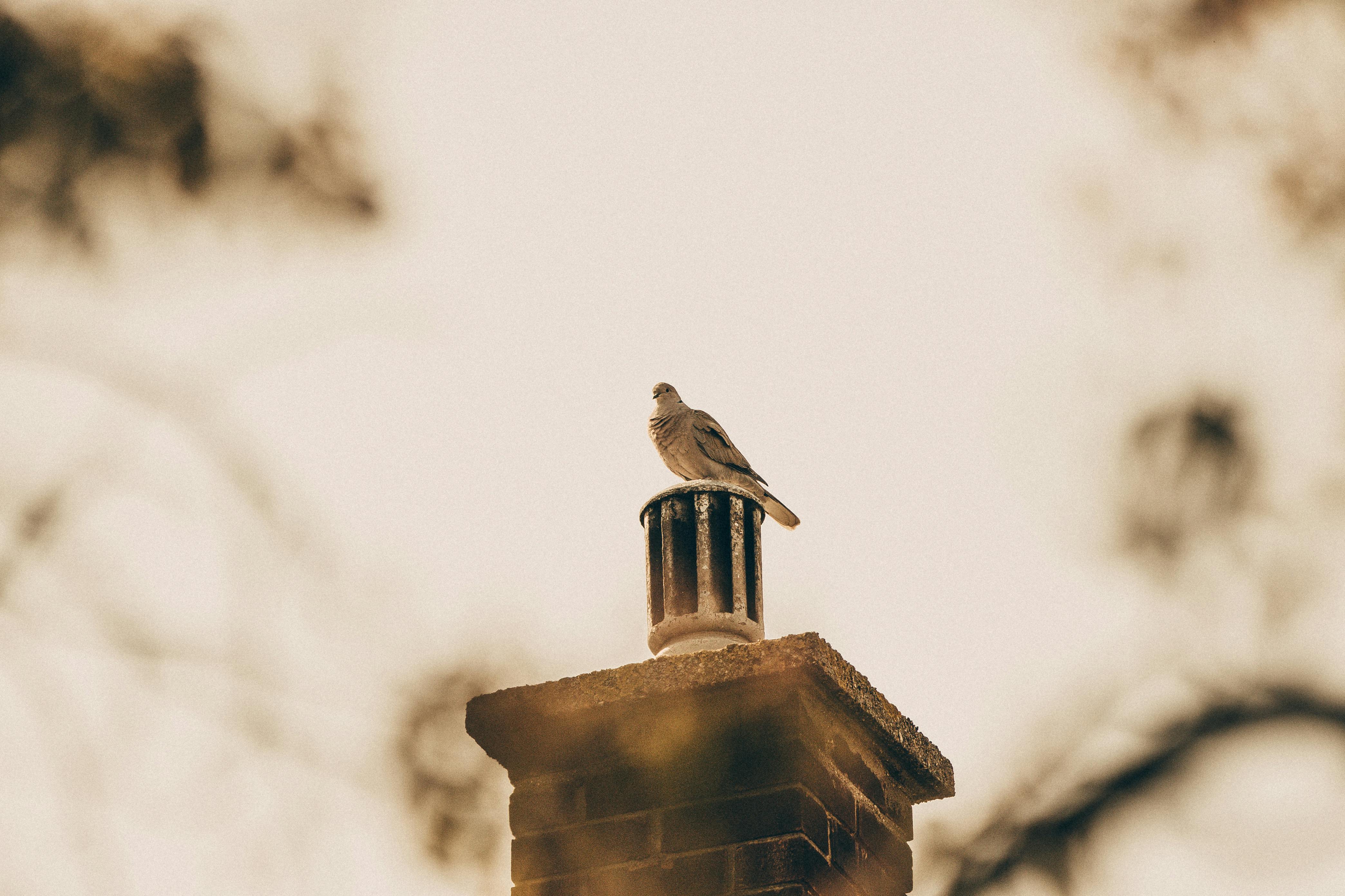 Expert Chimney Cap Installation in Alsip, Illinois